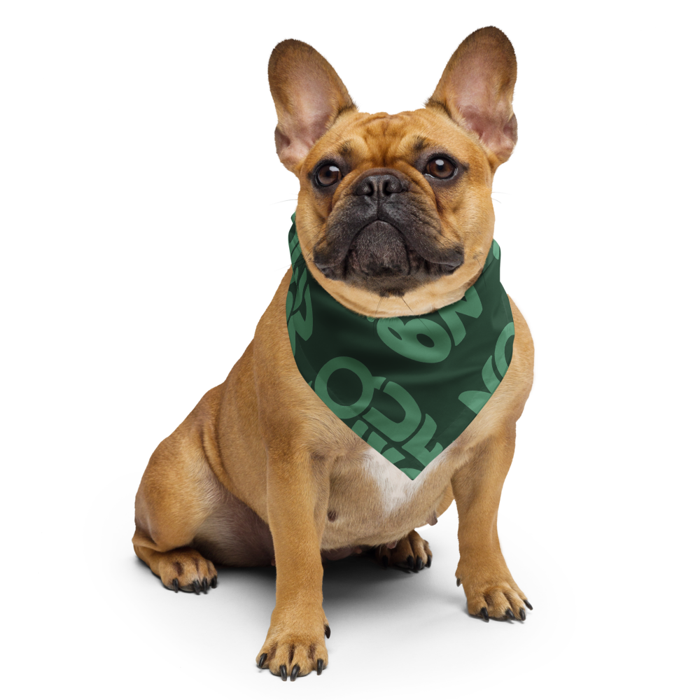 Playuela Bandana — Green