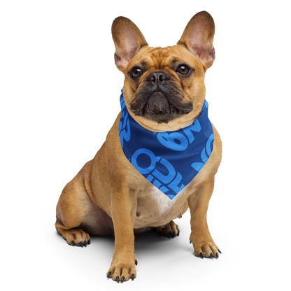 Boquerón Bandana — Blue