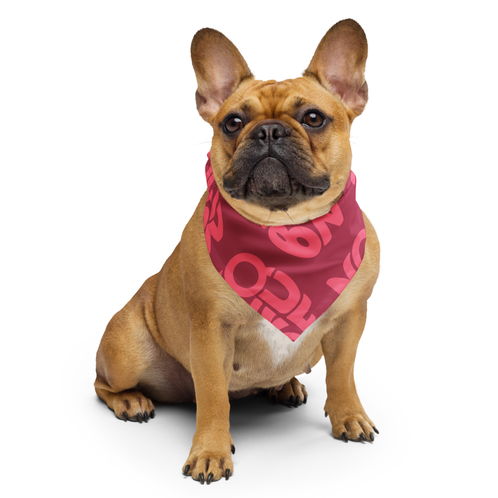 Lucía Bandana — Pink