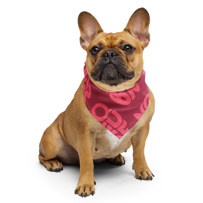 Lucía Bandana — Pink