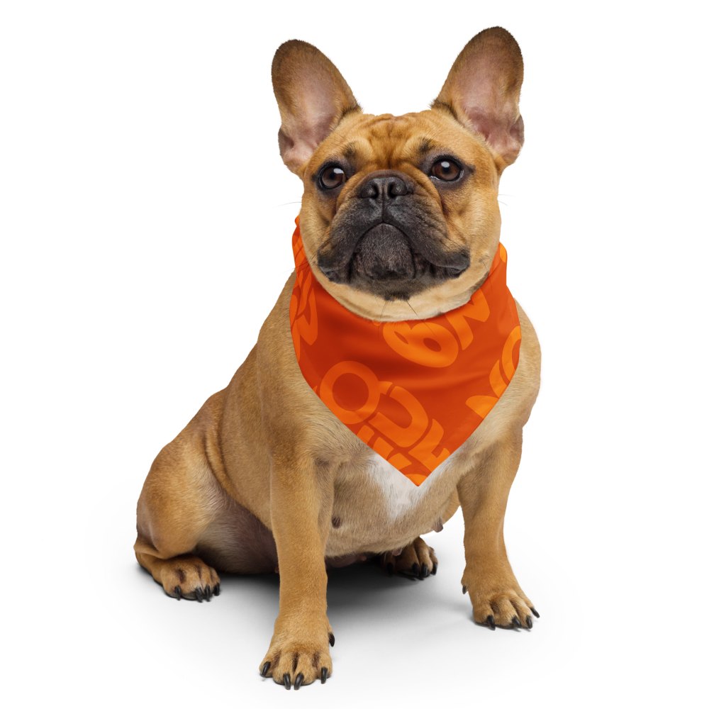 Rompeolas Bandana — Orange