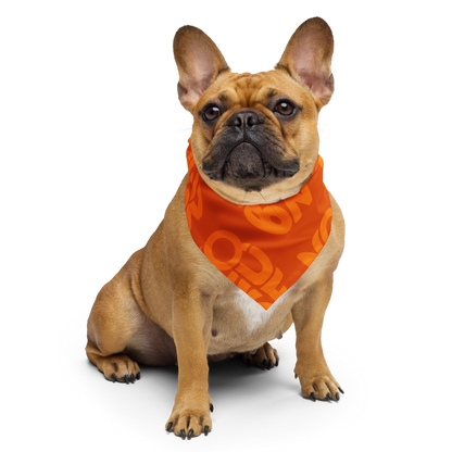 Rompeolas Bandana — Orange